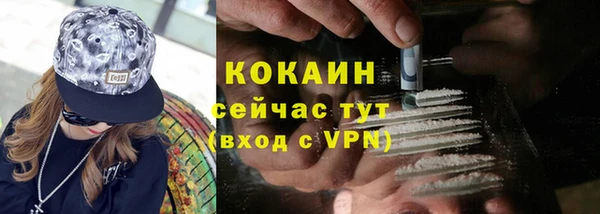 хмурый Арсеньев