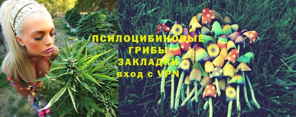 дмт Армянск
