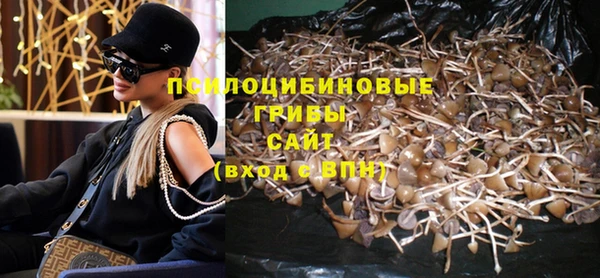 спайс Аркадак