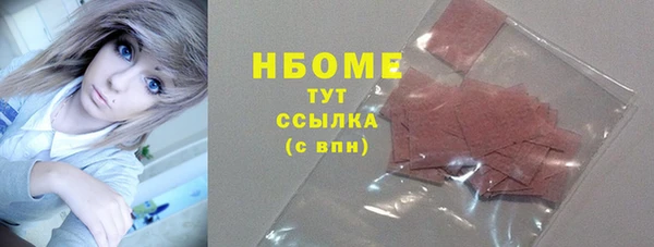 хмурый Арсеньев