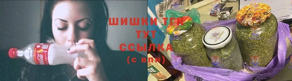 хмурый Арсеньев