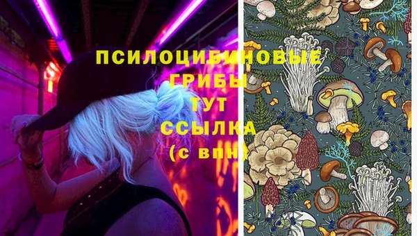 хмурый Арсеньев