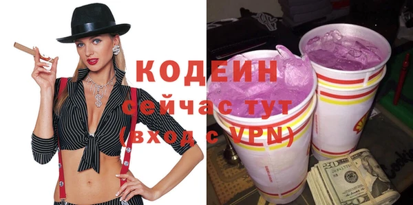 хмурый Арсеньев