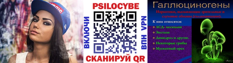 Псилоцибиновые грибы Psilocybine cubensis  Соликамск 